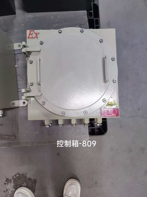 Explosion Proof Flameproof Control Panels – Reliable Fire Hazard Protection for Industrial Facilities