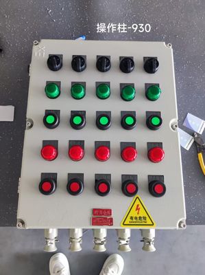 Customizable Rated Voltage Flameproof Control Panels with 12mm Panel Thickness ATEX CNEX ISO9001 Certified