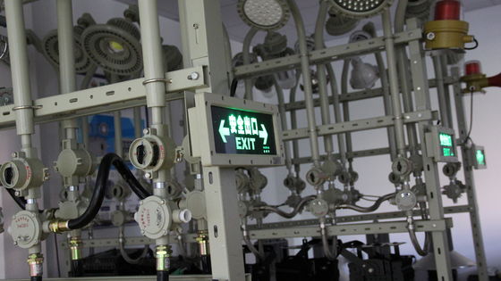 ATEX CE IP66 Certified Explosion Protected LED Exit Marker 5700KCCT 3W High Brightness LED Light Source for Chemical Plant and Gas Station