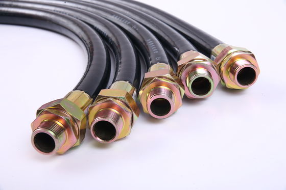 Waterproof Explosion Proof Flexible Conduit G2 Complete Connector Types for Hazardous Environments