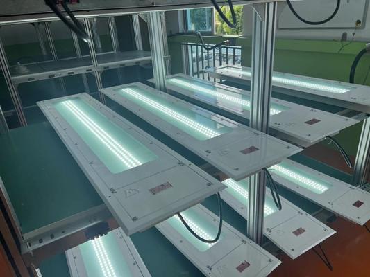 0.6M 1.2M 100LM/W Linear Led Explosion Proof 36w Industrial Lamp Safe T6 LED Steel Explosion Proof Linear Light