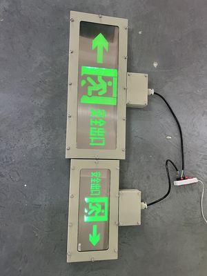 Customizable 3W Anti-Explosion Emergency Exit Sign LED Light Source for Chemical Plants & Mining Operations