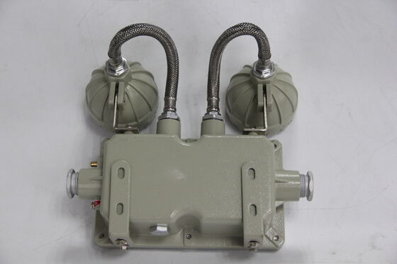 Explosion Proof Double-Headed Aluminium Alloy Shell Emergency Light 220VAC/24VDC Safety IP66 LED light