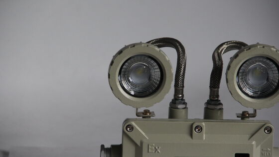 High Quality LED Lighting ATEX IP66 Emergency Light Rechargeable Double Head Lamp Exit Light Danger Zones 1 and 2