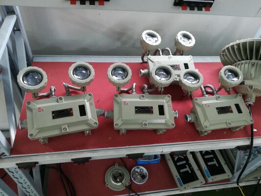 Explosion Proof Double-Headed Aluminium Alloy Shell Emergency Light 220VAC/24VDC Safety IP66 LED light