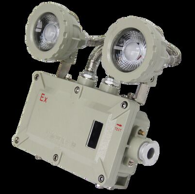Explosion Proof Double-Headed Aluminium Alloy Shell Emergency Light 220VAC/24VDC Safety IP66 LED light
