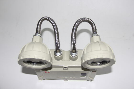 Explosion Proof Double-Headed Aluminium Alloy Shell Emergency Light 220VAC/24VDC Safety IP66 LED light