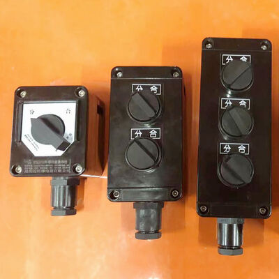 Explosion Proof Isolator Breaker Explosion Proof Equipment Offering Cable Entry G12 Protection IP65 WF1 WF2 for Hazard Protection