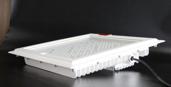 Explosion‑Resistant LED Flood Light High Bright 100‑250W, Maximum 5700K CCT, 5‑Year Service Guarantee for Gas Station Hazardous Zones