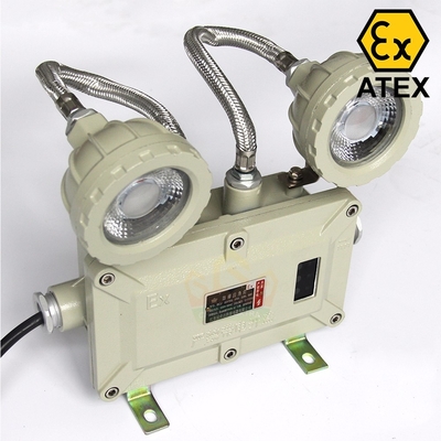 Wall Mounted Explosion Proof Emergency Light With 1CCT80 Mins emergency time used for industrial areas