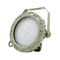 Ceiling Explosion Proof Led High Bay Lights For Warehouse 75w SMC Mold Pressure Shell