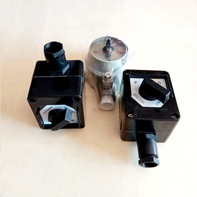 Chemical Industry Explosion Proof Switch with IP66 Protection Level 2 Poles