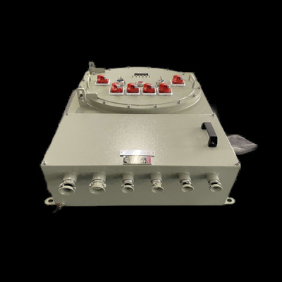 Wall Mounted Flameproof Control Panels with Powder Coating Finish and Customization