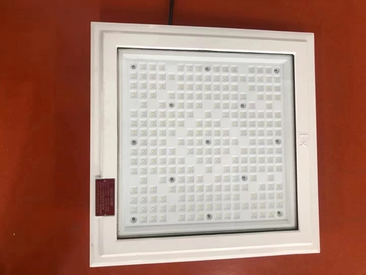 ATEX 18*18 Inch Square Shape Explosion Proof Light 100w 130lm/w Gas Station Light With Five Years Warranty