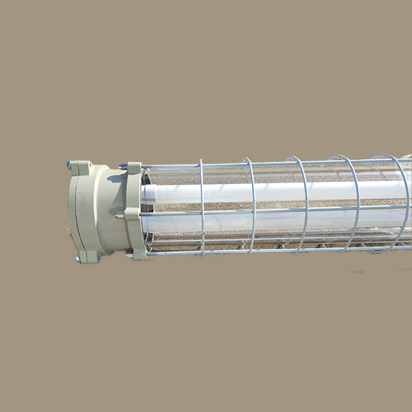 Explosion Control Tube Explosion Proof Fluorescent Light Fixture T8/T10 2x20W | 2ft/18