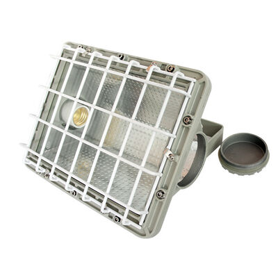 Ex Code Ex Db IIC T6 Gb Flameproof LED Floodlight OEM Certified Explosion Proof Lighting for Hazardous Zone Applications